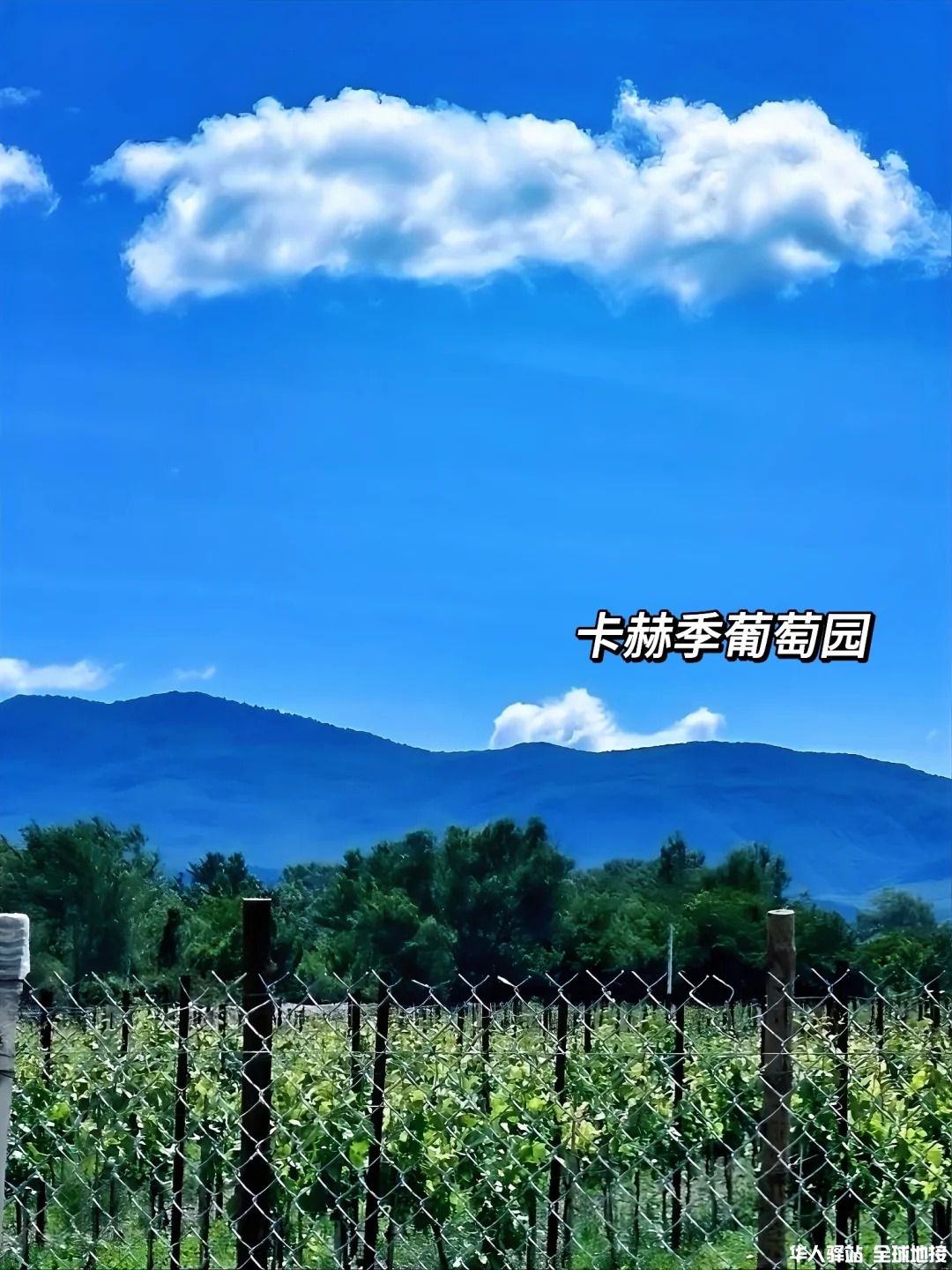 刚从格鲁吉亚回来.jpg